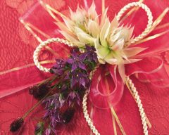 Tapeta Nature Flowers 533.jpg